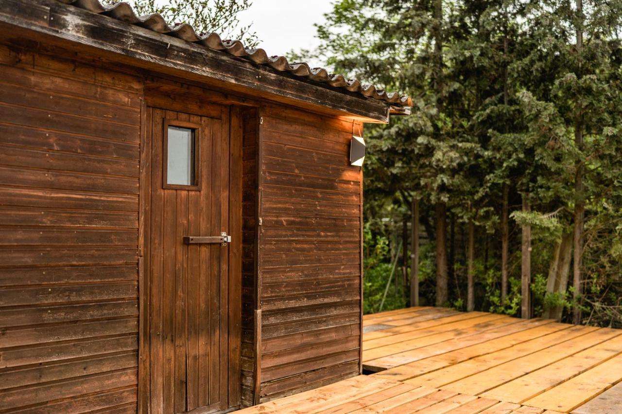Die Entspannendste Wohnung Am Edersee - Spa Sauna Edertal Eksteriør bilde